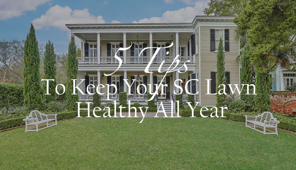 5 Tips to Keep Your South Carolina Lawn Healthy All Year