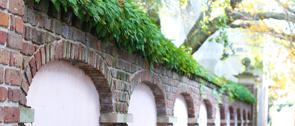 old brick wall representing old Charleston real estate services