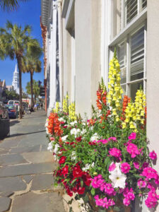 Window boxes at the office of Disher, Hamrick & Myers, 30 Broad Street in historic downtown Charleston, SC.