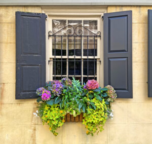 Window box on Legare Street in historic downtown Charleston, SC. By Joyce L. King.