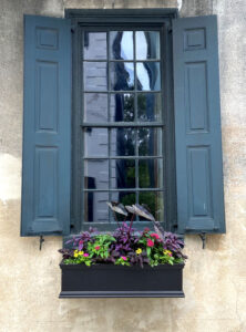 Window box on Tradd Street in historic downtown Charleston, SC. By Joyce L. King.