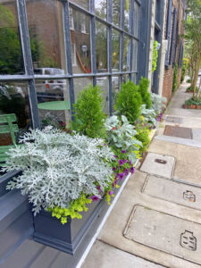 Window boxes in historic downtown Charleston, SC. By Joyce L. King.