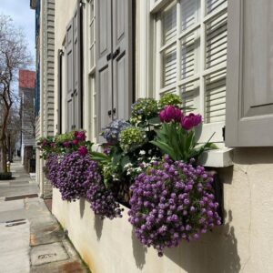 Window boxes in historic downtown Charleston, SC. By Joyce L. King.