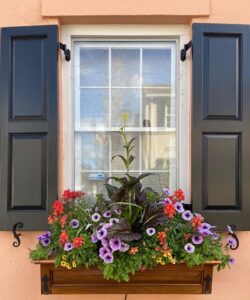 Window boxes in historic downtown Charleston, SC. By Joyce L. King.