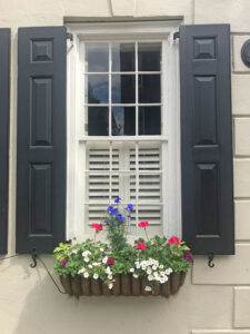 Window box on State Street in historic downtown Charleston, SC. By Avery Edwards.