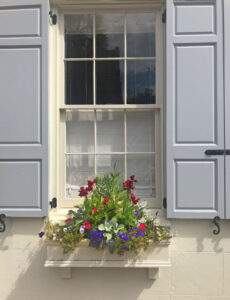 Window box on State Street in historic downtown Charleston, SC. By Avery Edwards.