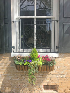Window box on State Street in historic downtown Charleston, SC. By Avery Edwards.
