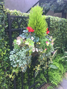 Window box on State Street in historic downtown Charleston, SC. By Avery Edwards.