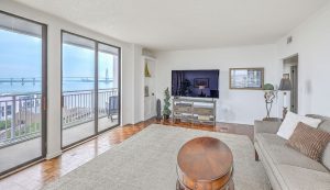 330 Concord Street 12C Dockside living room