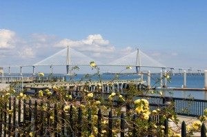 Dockside flowers & Ravenel Bridge