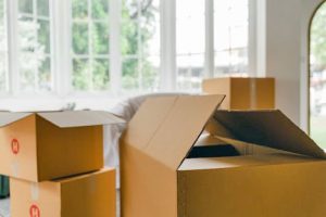 Unpacked moving boxes in a new home with white windows